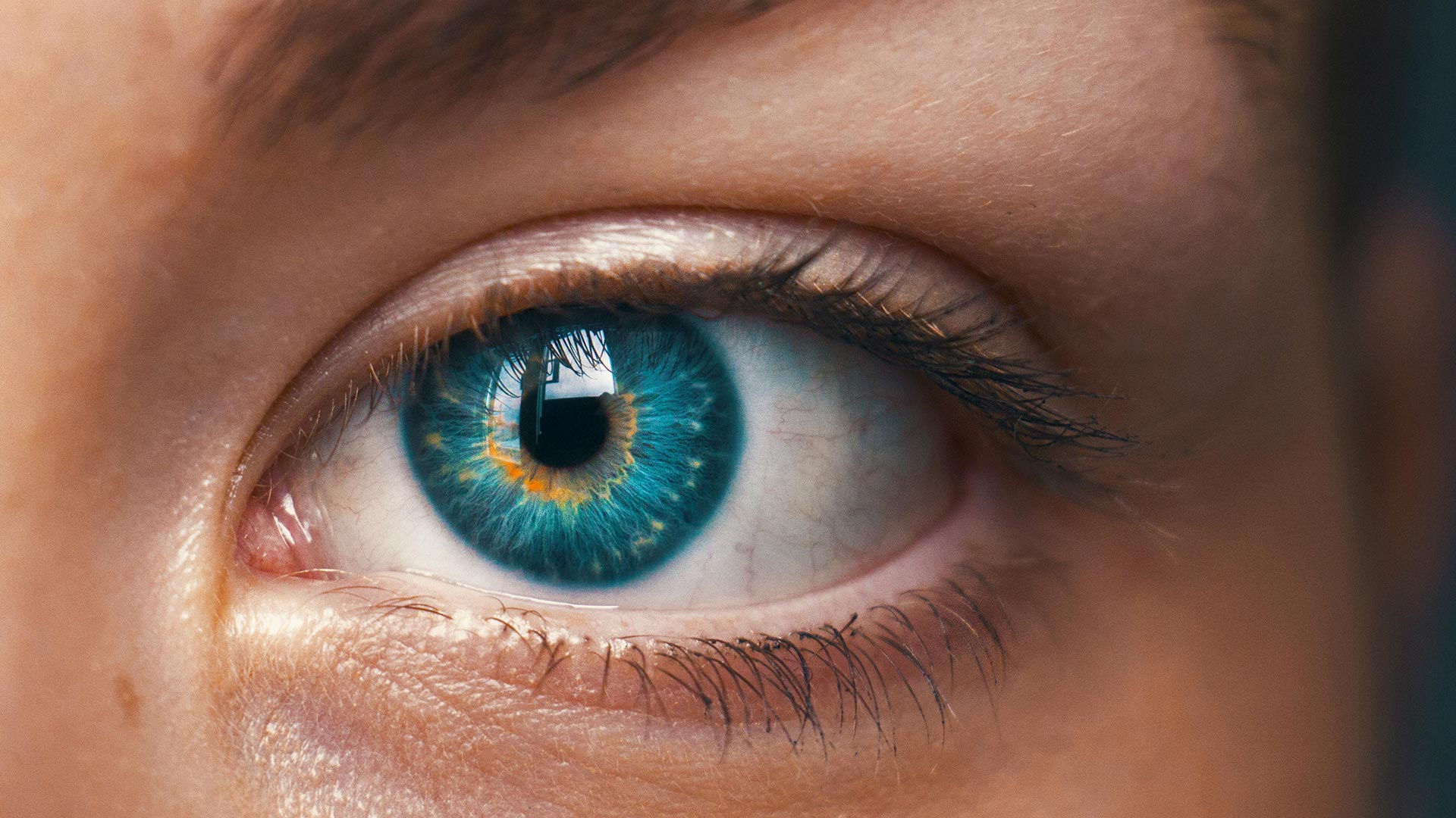 Kontaktlinsen_Limburg_Seitz-Optik Nahaufnahme eines blau-grünen Auges mit deutlich sichtbarer Iris – Kontaktlinsen-Anpassung und Beratung bei Seitz Optik in Limburg
